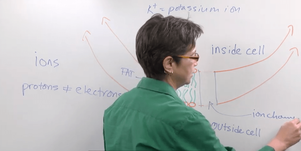 Vestibular Schwannoma and its Implications for Public Health and Policy